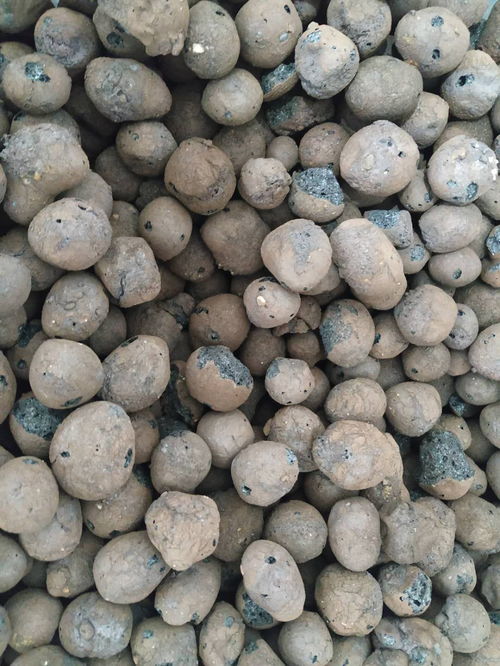 養(yǎng)花的陶粒有幾種