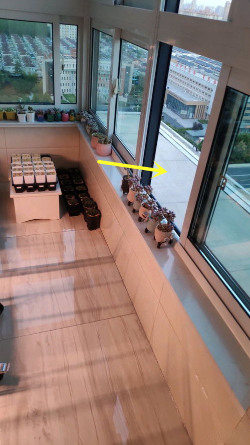 房子腰線層養(yǎng)花