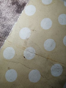 家里養(yǎng)花有蟲(chóng)子身體癢