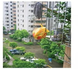 陽臺養(yǎng)花多好嗎