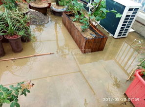 小區(qū)樓頂嚴(yán)禁養(yǎng)花種菜