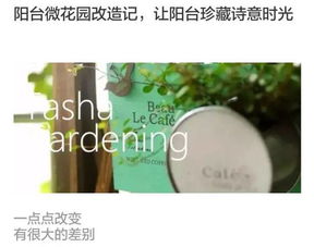 養(yǎng)花給人帶來(lái)什么有趣的事