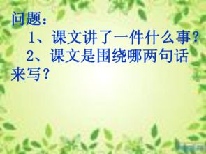 六級上冊語文養(yǎng)花課件