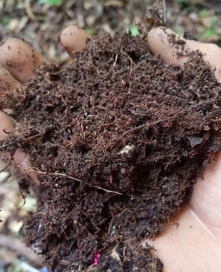 家庭養(yǎng)花蛭石和土的比例是多少