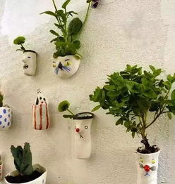 貝貝熊暖寶貼可以養(yǎng)花