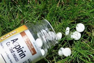 阿司匹林養(yǎng)花用途