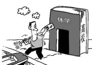 感想,創(chuàng)新,創(chuàng)業(yè),大學(xué)生