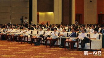 農(nóng)業(yè)創(chuàng)業(yè)創(chuàng)新學(xué)員心得體會(huì),農(nóng)業(yè)創(chuàng)業(yè)創(chuàng)新典型人物故事,農(nóng)業(yè)創(chuàng)業(yè)創(chuàng)新動(dòng)能活力