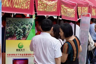 作文,精準(zhǔn),扶貧,素材