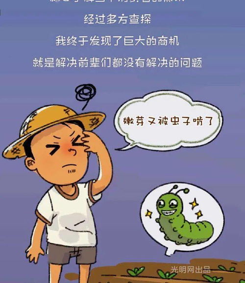 關(guān)于創(chuàng)新創(chuàng)業(yè)的漫畫,青年人創(chuàng)新創(chuàng)業(yè)的重要性,青年人創(chuàng)新創(chuàng)業(yè)的例子