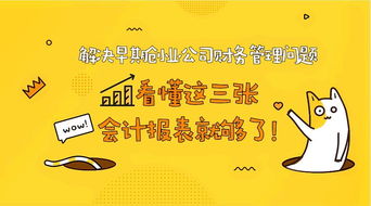 創(chuàng)新創(chuàng)業(yè)財(cái)務(wù)管理怎么寫,創(chuàng)新創(chuàng)業(yè)財(cái)務(wù)管理論文,大學(xué)生創(chuàng)新創(chuàng)業(yè)財(cái)務(wù)管理論文