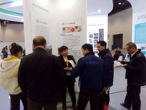 國(guó)際創(chuàng)新創(chuàng)業(yè)的最新研究成果包括,創(chuàng)新創(chuàng)業(yè)研究成果怎么寫,大學(xué)生創(chuàng)新創(chuàng)業(yè)研究成果