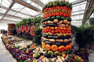 農(nóng)業(yè)科技人才創(chuàng)新創(chuàng)業(yè)獎勵辦法