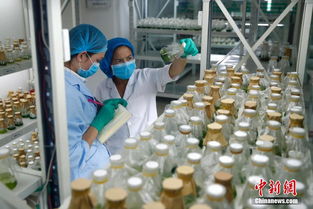 新疆生物醫(yī)藥創(chuàng)新創(chuàng)業(yè)園孵化樓