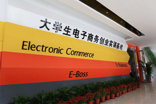 大學生電子商務創(chuàng)新創(chuàng)業(yè)背景