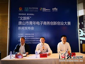 創(chuàng)新創(chuàng)業(yè)大賽優(yōu)秀作品電子商務(wù)