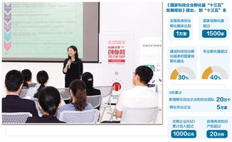 孵化器,大眾,萬眾,創(chuàng)新