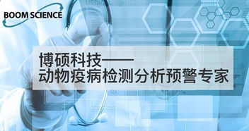 食品專業(yè)大學(xué)生創(chuàng)新創(chuàng)業(yè),歷史專業(yè)大學(xué)生創(chuàng)新創(chuàng)業(yè),大學(xué)生創(chuàng)新創(chuàng)業(yè)自我介紹