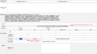 創(chuàng)業(yè)項(xiàng)目,填寫,意見,創(chuàng)新