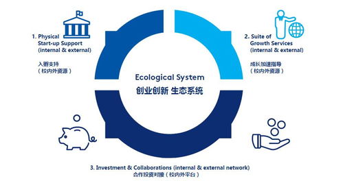 孵化,創(chuàng)業(yè)項(xiàng)目,形式,創(chuàng)新