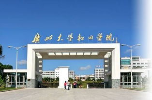 廣州大學(xué)松田學(xué)院創(chuàng)新創(chuàng)業(yè)學(xué)院院長