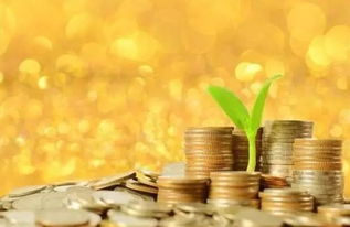 創(chuàng)業(yè)資本與創(chuàng)新金融,創(chuàng)業(yè)資本與創(chuàng)新金融pdf,大學生創(chuàng)新創(chuàng)業(yè)支撐材料