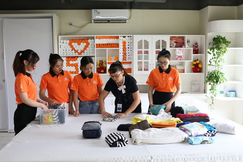 家政服務創(chuàng)新創(chuàng)業(yè)ppt,互聯(lián)網(wǎng)+家政服務創(chuàng)新創(chuàng)業(yè)策劃書,家政服務創(chuàng)業(yè)ppt