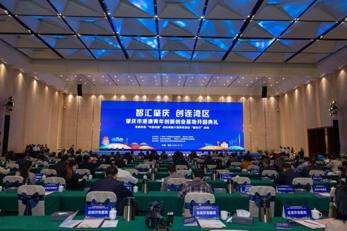 肇慶高新區(qū)創(chuàng)新創(chuàng)業(yè)科學(xué)園,肇慶港澳青年創(chuàng)新創(chuàng)業(yè)基地,創(chuàng)新創(chuàng)業(yè)總結(jié)