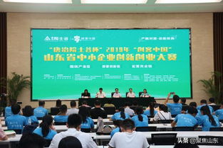 山東省創(chuàng)新創(chuàng)業(yè)大賽領(lǐng)隊