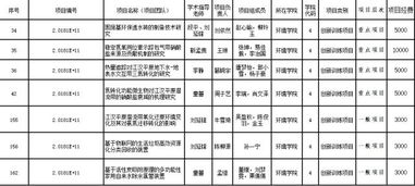 大學(xué)生創(chuàng)新創(chuàng)業(yè)項(xiàng)目經(jīng)費(fèi)預(yù)算,創(chuàng)新創(chuàng)業(yè)項(xiàng)目經(jīng)費(fèi)預(yù)算怎么寫(xiě),創(chuàng)新創(chuàng)業(yè)項(xiàng)目經(jīng)費(fèi)預(yù)算表