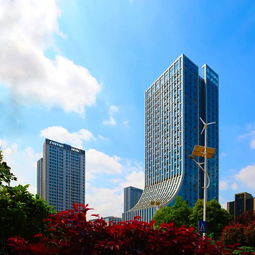 金灣創(chuàng)業(yè)大廈租房,三亞創(chuàng)業(yè)大廈租房,溫嶺創(chuàng)業(yè)大廈租房