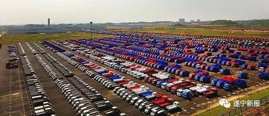 中韓創(chuàng)新創(chuàng)業(yè)園資陽基地