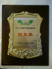 互聯(lián)網(wǎng)創(chuàng)新創(chuàng)業(yè)大賽獎牌