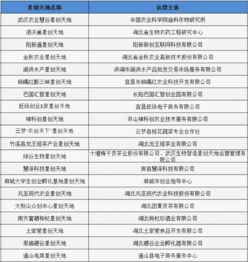 服務(wù)平臺(tái),創(chuàng)新,創(chuàng)業(yè),天地