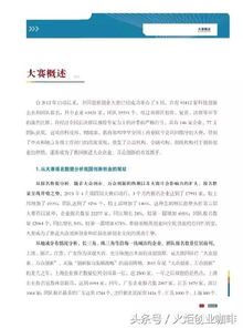 大四創(chuàng)新創(chuàng)業(yè)實(shí)踐報(bào)告