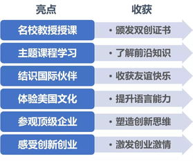 創(chuàng)新創(chuàng)業(yè)項(xiàng)目安排