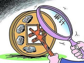 創(chuàng)新創(chuàng)業(yè)扶貧資金審計