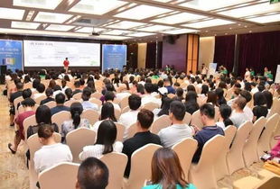 公益,創(chuàng)新,創(chuàng)業(yè),社會