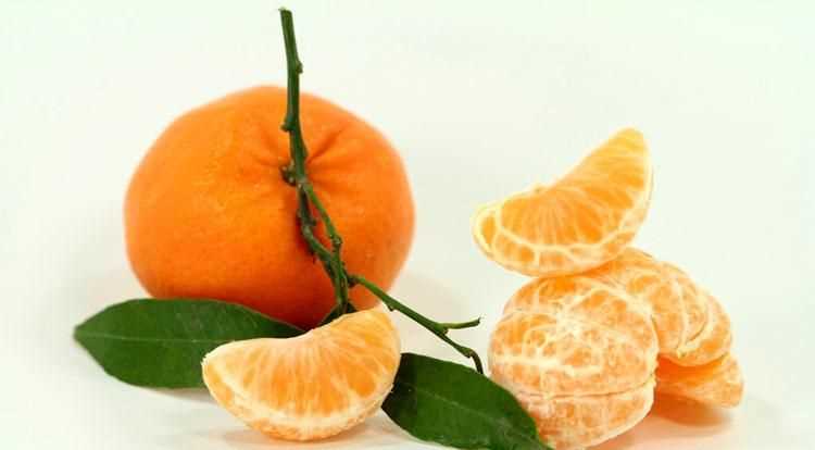 橘子怎么保存過冬