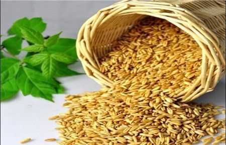 烏麥?zhǔn)鞘裁礀|西