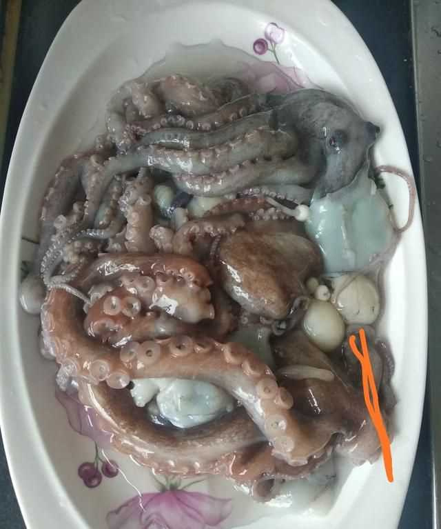八爪魚的哪些部位不能吃
，八爪魚怎么吃好吃？哪里不能吃？圖3