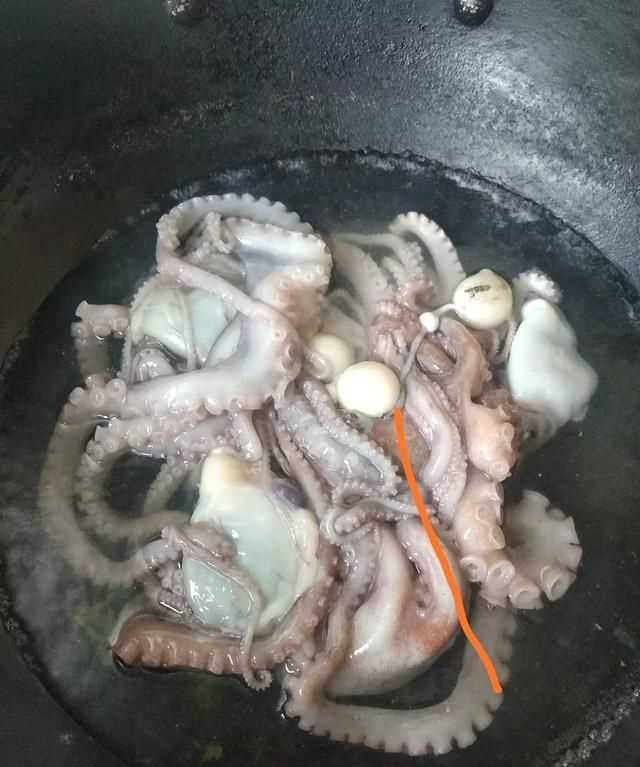 八爪魚的哪些部位不能吃
，八爪魚怎么吃好吃？哪里不能吃？圖5