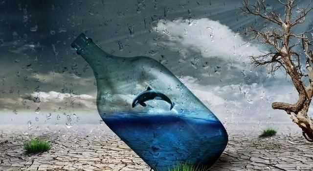 為什么說水是生命之源，人為什么說水是生命之源？圖1