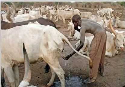 為什么說水是生命之源，人為什么說水是生命之源？圖5