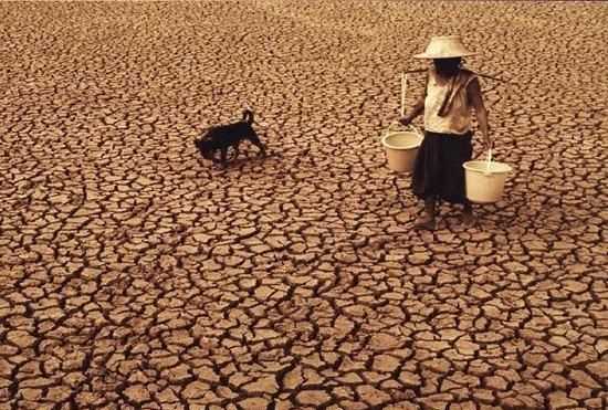 為什么說水是生命之源，人為什么說水是生命之源？圖6