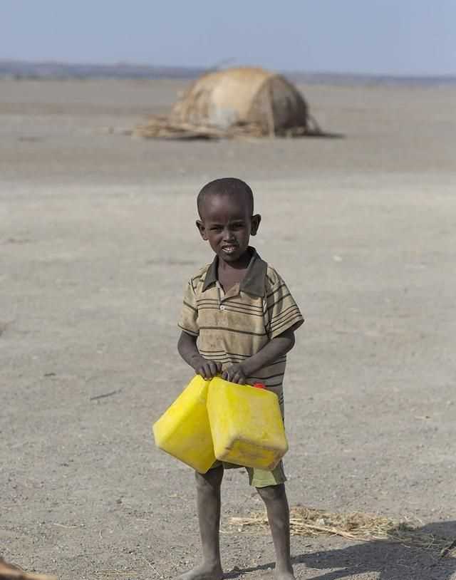 為什么說水是生命之源，人為什么說水是生命之源？圖8