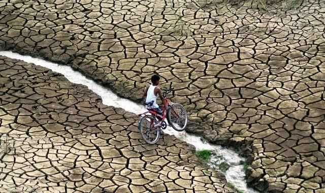 為什么說水是生命之源，人為什么說水是生命之源？圖9