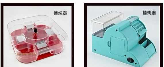 櫻桃蟑螂怕熱,櫻桃蟑螂要捏死再喂嘛圖4