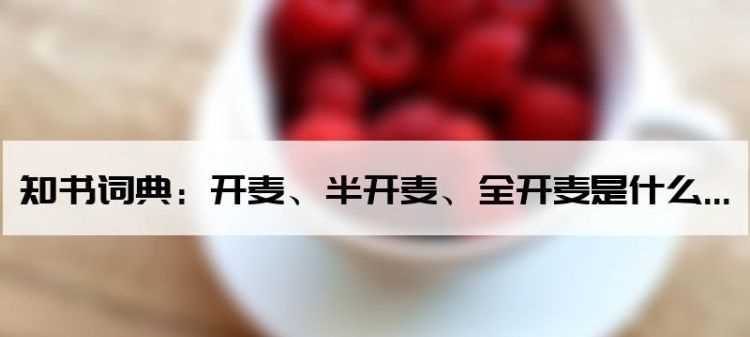 怎么區(qū)分全開麥和半開麥音響