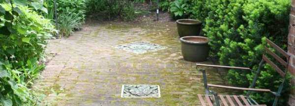 院子里長(zhǎng)青苔怎么去除,院子里青苔怎么清除 院子里青苔的解決方法視頻圖2